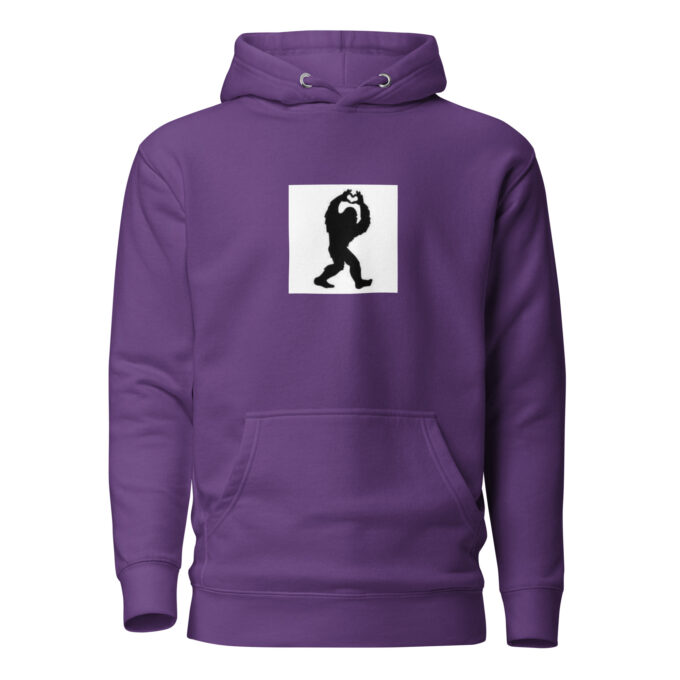 unisex-premium-hoodie-purple-front-65b8da5f1047e.jpg